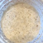 Sourdough starter